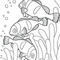 Under Sea Fish Coloring Pages