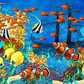 Underwater Ocean Scenes Wallpaper
