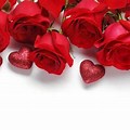 Valentine's Day Background with Roses