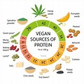 Vegan Protein Benefits