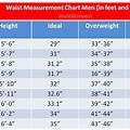 Waist Size to Weight Chart