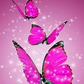 Wallpaper Free Pink Neon Butterfly S
