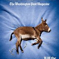 Washington Post Magazine Covers
