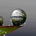 Water Drop Reflection Photography
