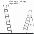 What Are You Doing Step Ladder