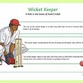 Wicketkeeper Kwik Cricket