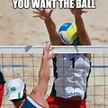 Winston Meme Volley Ball
