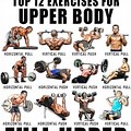 Workout Muscle Chart Upper Body