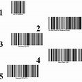 Zebra QR Code Scanner Programing