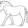 Zebra without Stripes Coloring Page