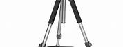 Ravelli Professional Tripod