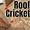 Dead Valley Roof Cricket