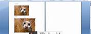 4R Photo Size in Microsoft Word