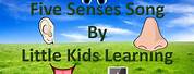 5 Senses Song by Frank Leto Lyrics