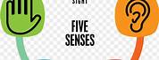 5 Senses Symbols No Background