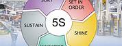 5S Manufacturing Process Model