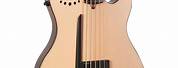 Acoustic-Electric 5 String Bass