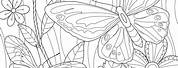 Activity Coloring Pages