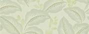 Aesthetic Background Sage Green 1024 X 576