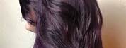 Age Beautiful Hair Color Violet