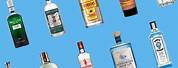 All Brands of Gin