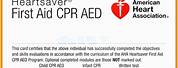 American Red Cross CPR Card Template