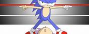 Amy vs Cage Fight Sonic