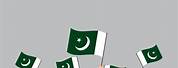 An Animation a Peron Holding the Pakistan Flag with Cricket