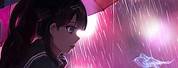 Anime Full Cover Umbrella