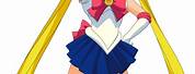 Anime Sailor Moon Full Body