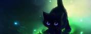 Anime Wallpaper 4K Boy Black Cat