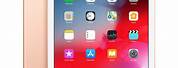 Apple Products iPad Wi-Fi