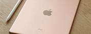 Apple iPad Mini 6 Rose Gold