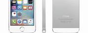 Apple iPhone 5S White