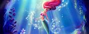Ariel Little Mermaid Desktop