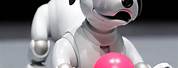 Artificial Intelligence Robot Dog Aibo