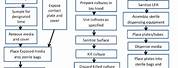 Aseptic Processing Flow Chart