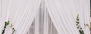 Backdrop W White Mesh Curtains and Vines