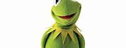 Bad Kermit the Frog Cartoon