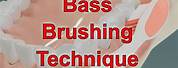 Bass Method Brushing Technique