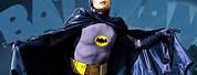Batman Adam West to Animated Series