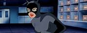 Batman the Animated Series Catwoman Yellow Cat
