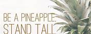 Be a Pineapple Quote Wallpaper