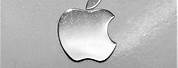 Best Silver Apple Logo Stickers