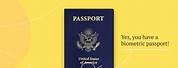 Biometric Camera Logo Passport