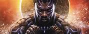 Black Panther King of Wakanda