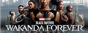 Black Panther Wakanda Forever Blu-ray Cover