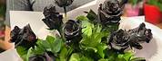 Black Rose Bouquet Digital Art