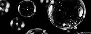 Bubbles Aesthetic Black Background