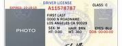 California DMV Temporary Identification Card